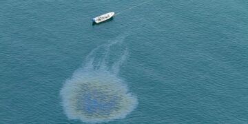 ȘTIAȚI CĂ… părul tău poate salva oceanele de petrol?