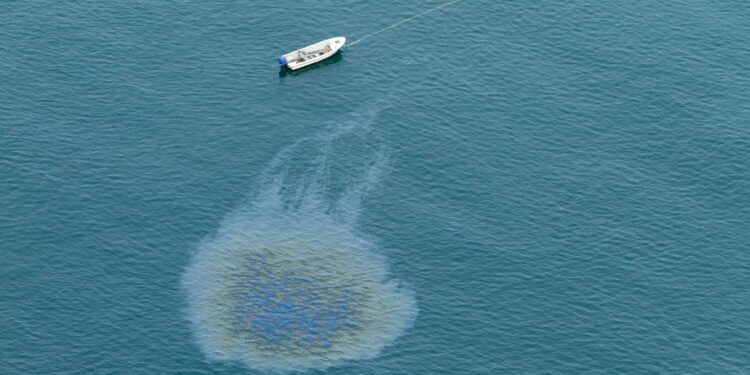 ȘTIAȚI CĂ… părul tău poate salva oceanele de petrol?