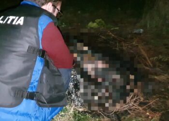 Condamnare cu executare la Botoșani: bărbat din Corni, încătușat și dus direct în penitenciar pentru uciderea animalelor