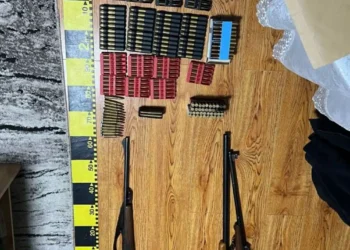 Arme, muniții și substanțe periculoase scoase din joc la Botoșani. Bilanț alarmant al Poliției pe 2025