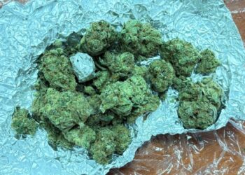 Prinși cu droguri la plimbare prin oraș. Doi bărbați ridicați de jandarmi în Botoșani, substanțe suspecte confiscate și dosare penale pe loc