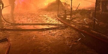 Incendiu devastator într-o gospodărie: flăcări uriașe, animale salvate în ultima clipă