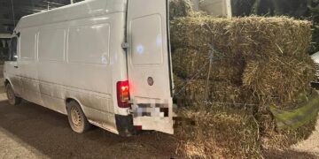Lemne ascunse sub baloți de paie! Tânăr prins în trafic cu „marfă” fără acte, pe Calea Națională