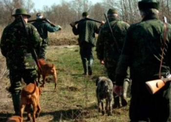 Zeci de persoane verificate și amenzi pentru câini periculoși și animale fără stăpân