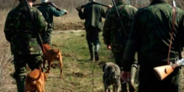 Zeci de persoane verificate și amenzi pentru câini periculoși și animale fără stăpân