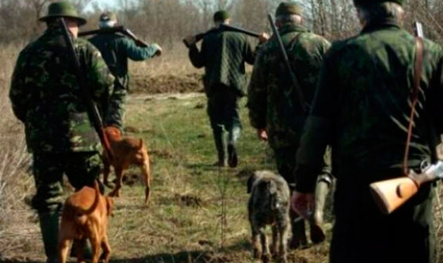 Zeci de persoane verificate și amenzi pentru câini periculoși și animale fără stăpân