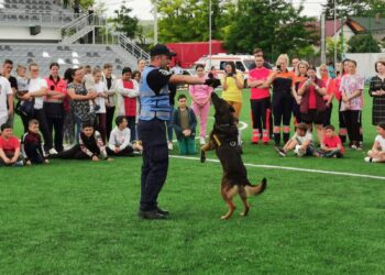 Eroul cu patru labe al Jandarmeriei Botoșani: Pih, 14 ani de loialitate și misiuni în slujba legii