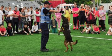 Eroul cu patru labe al Jandarmeriei Botoșani: Pih, 14 ani de loialitate și misiuni în slujba legii