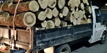 Transport ilegal de lemn, oprit în trafic la Vârfu Câmpului! Tânăr din Suceava, prins fără acte și lăsat fără marfă