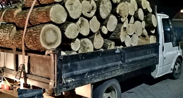 Transport ilegal de lemn, oprit în trafic la Vârfu Câmpului! Tânăr din Suceava, prins fără acte și lăsat fără marfă