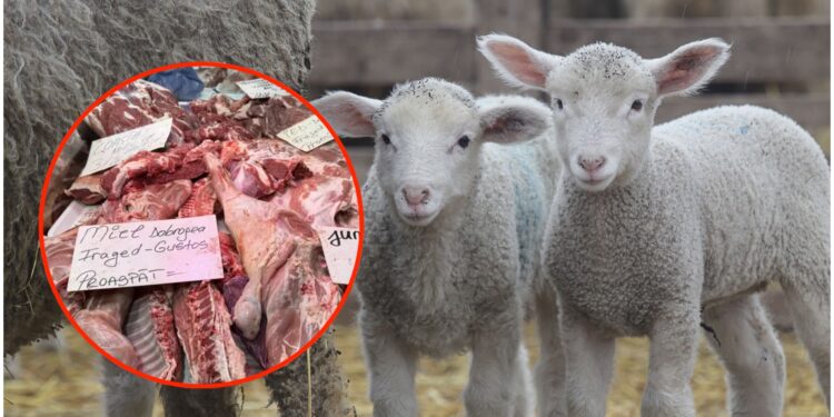 Paște de lux pentru români: carnea de miel a explodat la preț! Cât costă un simplu pachet pentru ciorbă