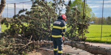 FURIA VÂNTULUI A LOVIT BOTOȘANIUL: Copaci doborâți, cabluri smulse și intervenții în lanț ale pompierilor