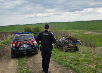 Scandal în Botoșani: prins în flagrant când arunca deșeuri pe câmp!