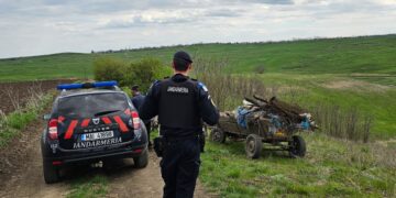 Scandal în Botoșani: prins în flagrant când arunca deșeuri pe câmp!
