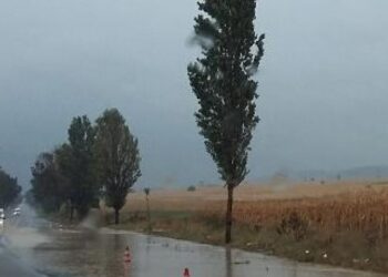 ALERTĂ METEO ÎN BOTOȘANI! Două zile de vânt puternic pun județul sub presiune. Autoritățile sunt în alertă