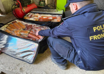 350 de kilograme de carne, transportate suspect într-un microbuz din Ucraina
