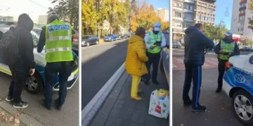 Razii în trafic la Botoșani și Dorohoi! Pietonii au traversat „ca-n junglă”, iar șoferii au rămas fără permise