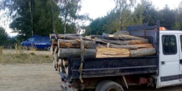 Hoții de lemne, din nou în vizorul polițiștilor! Două transporturi ilegale, confiscate în județul Botoșani