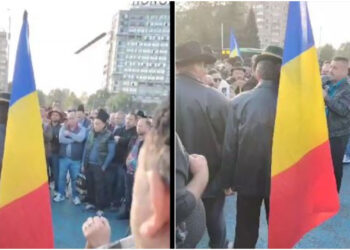 Oierii ies în stradă și cer demisia șefului ANSVSA: „Vrem să continuăm să creștem animale în România!”