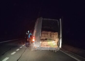 Razie în toiul nopții pe drumurile din Botoșani! Lemn de mii de lei, confiscat de polițiști
