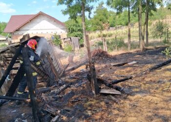 Patru incendii de vegetație în ultimele ore, în Botoșani! Flăcările au ajuns periculos de aproape de case și culturi