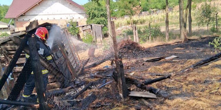 Patru incendii de vegetație în ultimele ore, în Botoșani! Flăcările au ajuns periculos de aproape de case și culturi
