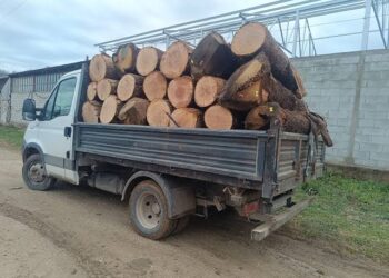 4.000 de lei amendă pentru lemne fără acte, la Vorona