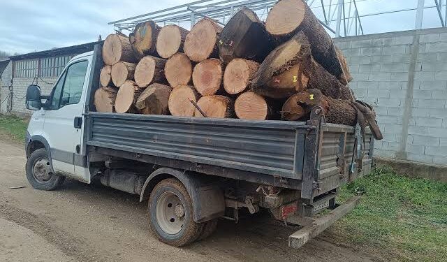 4.000 de lei amendă pentru lemne fără acte, la Vorona