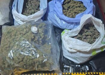 2,8 kilograme de canabis, trimise din Spania la Botoșani! A fost prins când ridica pachetul