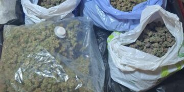 2,8 kilograme de canabis, trimise din Spania la Botoșani! A fost prins când ridica pachetul