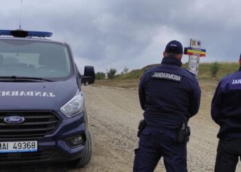 Trei bărbați, prinși în flagrant în timp ce tăiau și încărcau lemne!