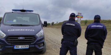 Trei bărbați, prinși în flagrant în timp ce tăiau și încărcau lemne!