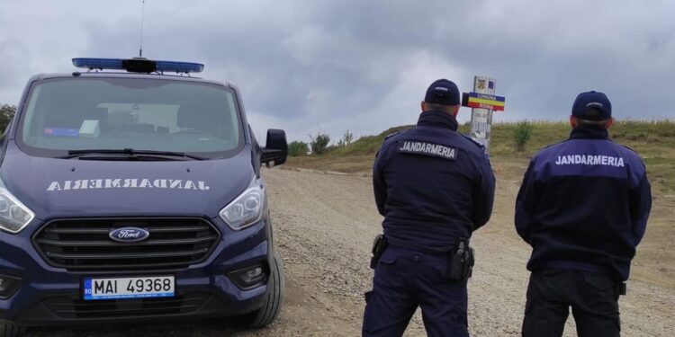 Trei bărbați, prinși în flagrant în timp ce tăiau și încărcau lemne!